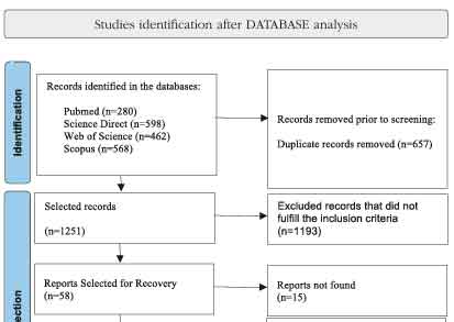 Ten-year outcomes of TIPS for  Budd-Chiari syndrome: systematic review and meta-analysis