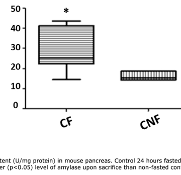 Fasting increases the severity of acute pancreatitis in a mouse model: implications for preoperative interventions to reduce complications of pancreatic surgery