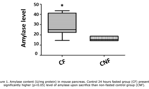 Fasting increases the severity of acute pancreatitis in a mouse model: implications for preoperative interventions to reduce complications of pancreatic surgery