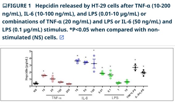 A possible role of hepcidin in intestinal inflammation