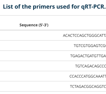 Plasma expression levels of micro rna-21 might help in the detection of hcv patients complicated by hepatocellular carcinoma