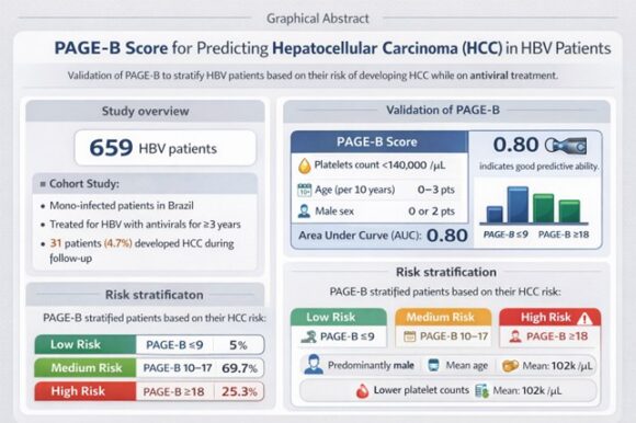 Validation of the PAGE-B score as a prognosis of development to hepatocellular carcinoma (HCC) in chronic hepatitis B, in the Brazilian population