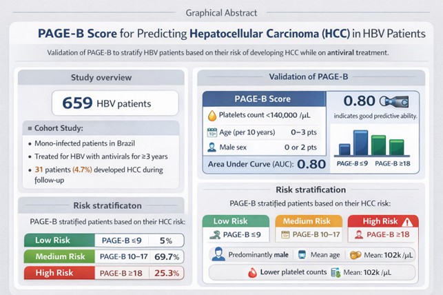 Validation of the PAGE-B score as a prognosis of development to hepatocellular carcinoma (HCC) in chronic hepatitis B, in the Brazilian population
