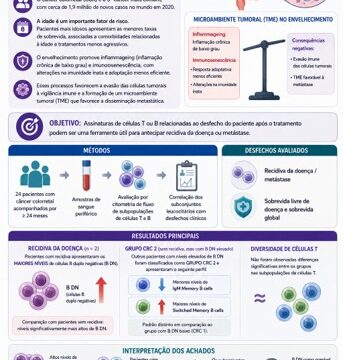 Colorectal cancer: is there a T or B cell signature related to the patient outcome?